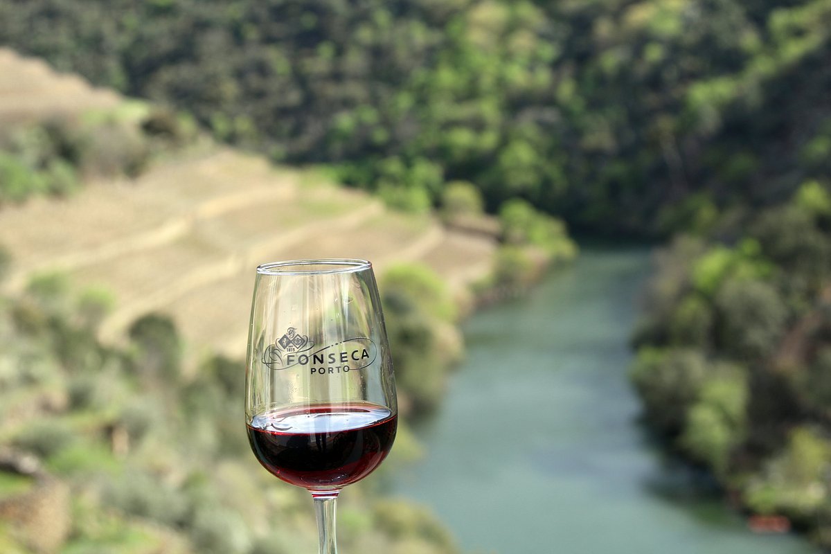 wycieczka rowerowa przez winnice Douro obok ekohotelu w Porto